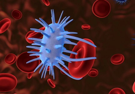CardioClear7 LDL Oxidation Protection — How Antioxidants in Compound CSP Work