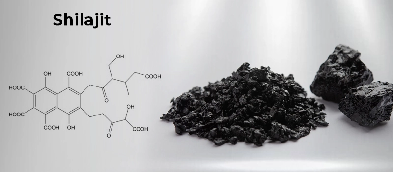 CardioClear7 Shilajit and CoQ10 Synergy — Boosting Cellular Energy for Heart Health